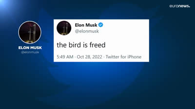 Elon Musk oficializa la compra de Twitter por 44 millones de euros