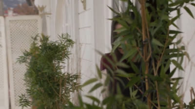 Venganza // Capítulo 85