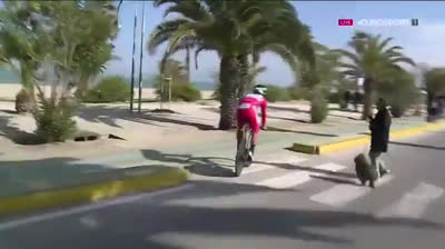 Petr Sagan close to run over a woman