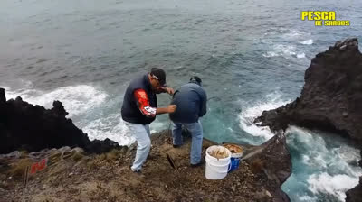 AMAZING BREAM FISH!!! 1,905kg