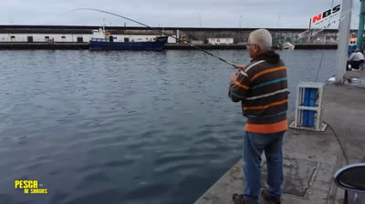 Fishing breams in port!!!!