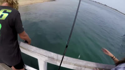 Sport Fishing videos - Page 4 - TokyVideo