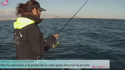 Cómo se pesca el calamar con caña, by Fórmula Pesca