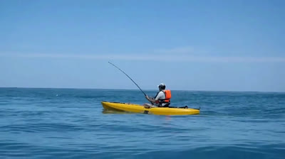 A SHARK in my rod!!! Don't let me alone please!!!!