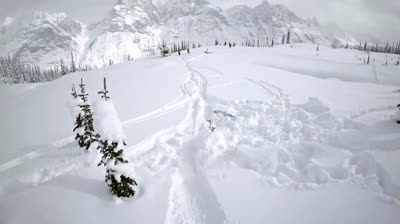 Travis Rice AMAZING backcountry!!!