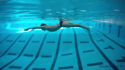 Butterfly Swimming Technique