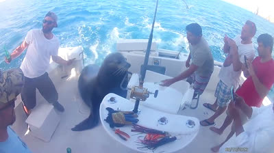 Leon Marino Asalta Barco